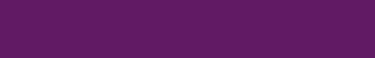 Bandeau violet